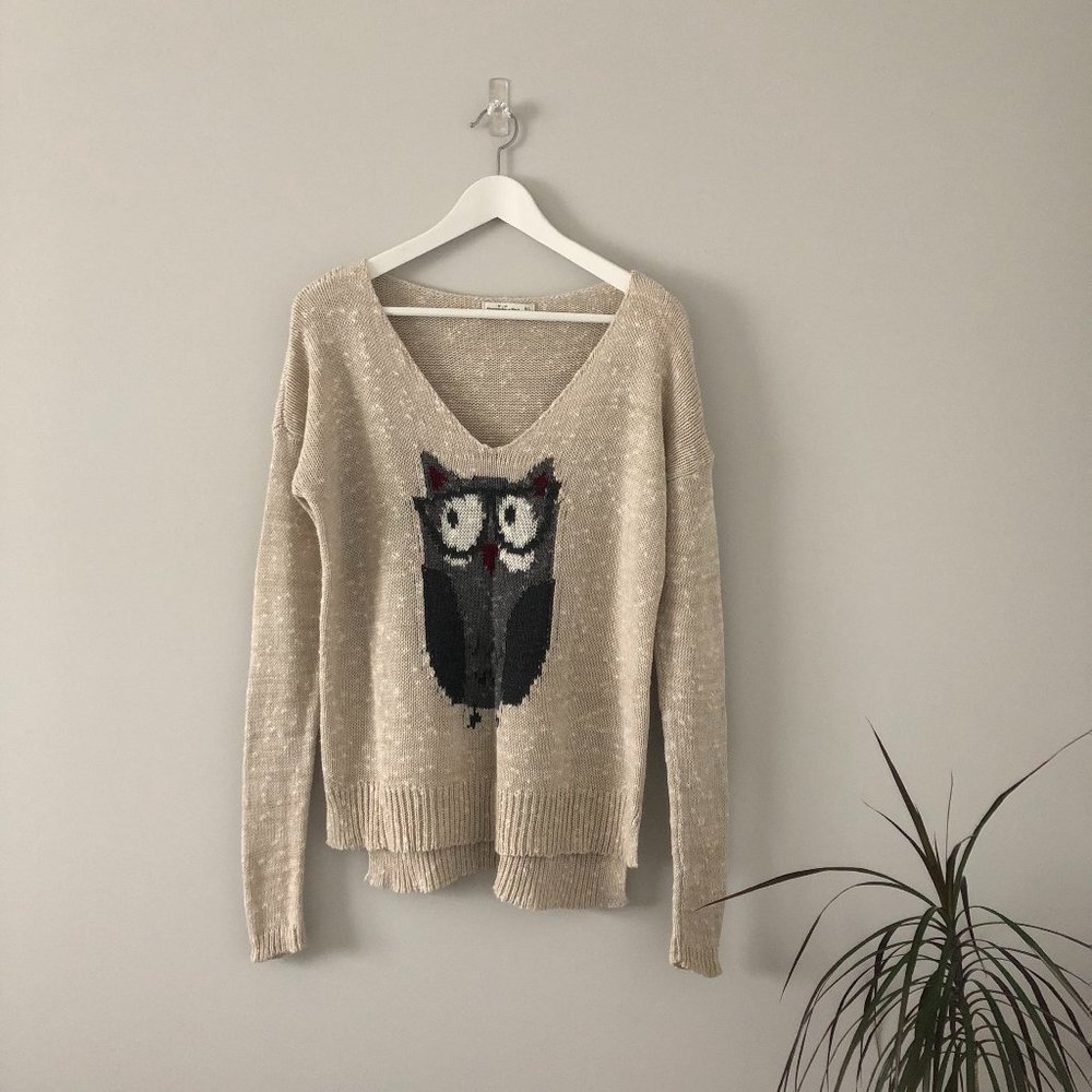 💸💸✨HOST PICK✨A&F M/L cream knit owl sweater